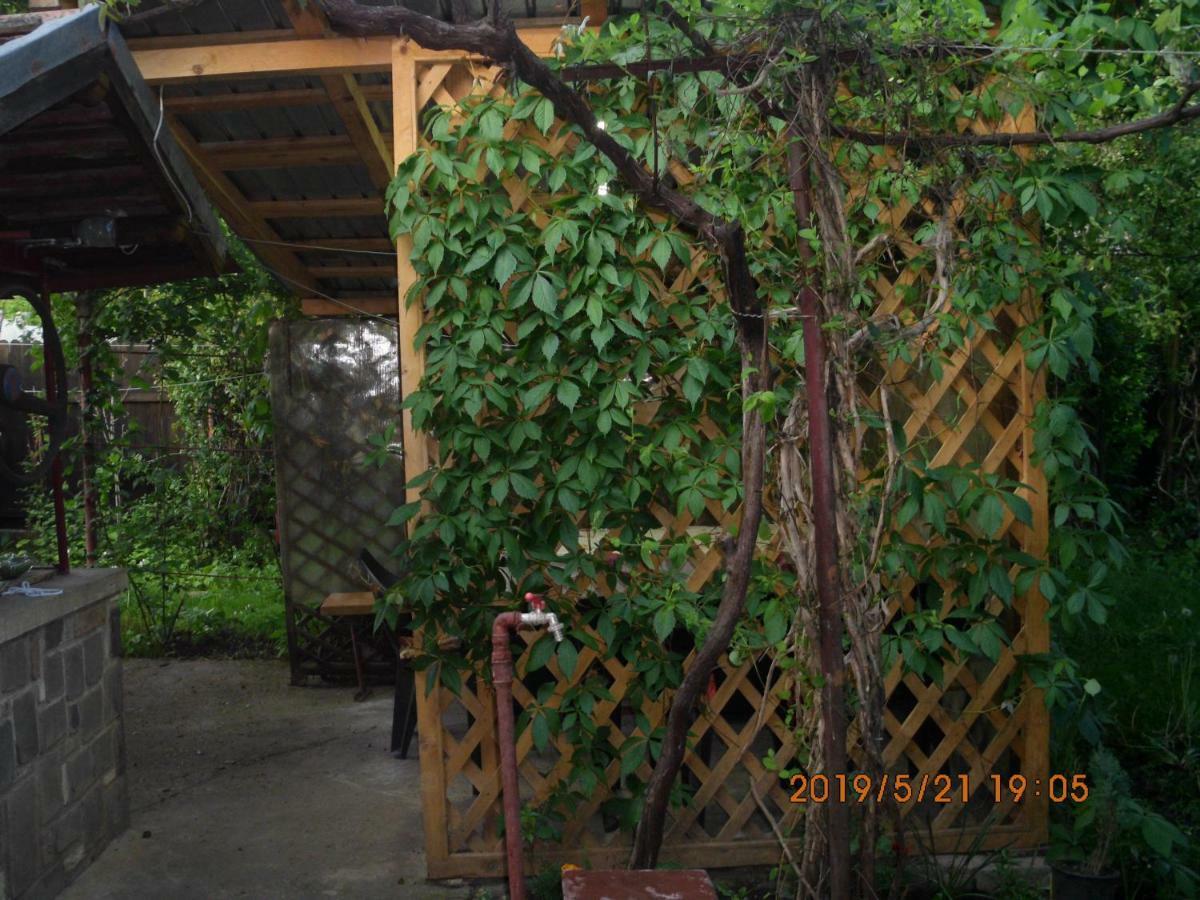 Vila Mihaela Breaza  Esterno foto