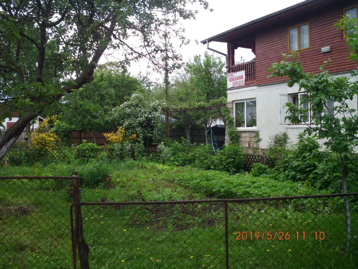 Vila Mihaela Breaza  Esterno foto